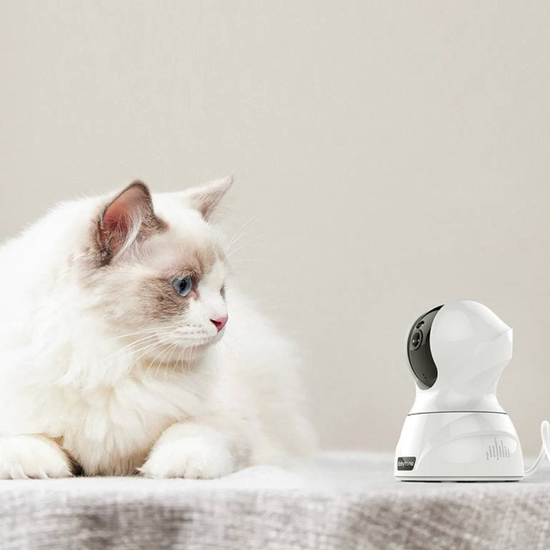Viatom Babytone cloud kamera kedvenceinknek