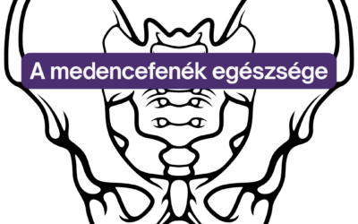 A medencefenék egészsége: problémák, megoldások és terápiás lehetőségek